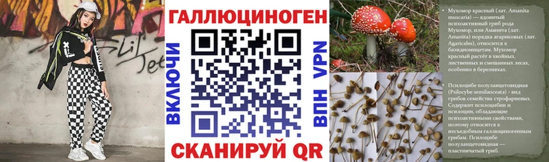 Галлюциногенные грибы GOLDEN TEACHER  Купить где  Мантурово 